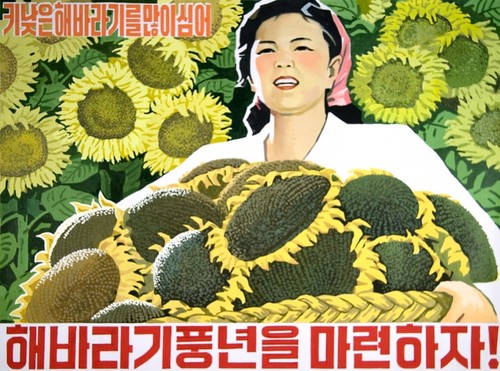 2016-04-06_nkoreanprop