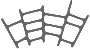 gray spiderweb
